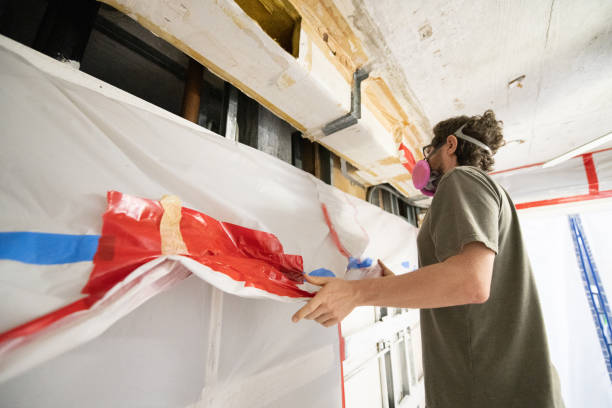 Environmental Consulting for Mold Prevention in Zionsville, IN