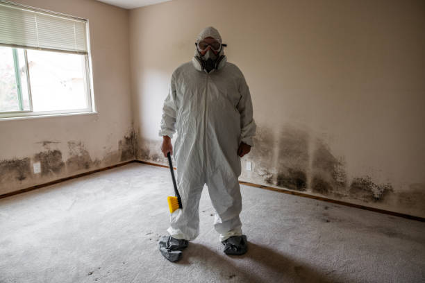 Best Mold Odor Removal Services  in Zionsville, IN
